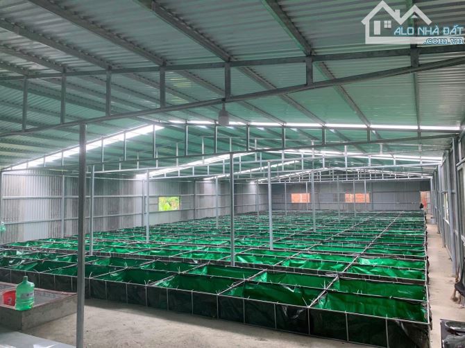 Chi tiết nhà xưởng Đà Nẵng